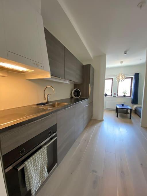 Moderne Leilighet Midt I Sentrum Av Fredrikstad Exteriér fotografie