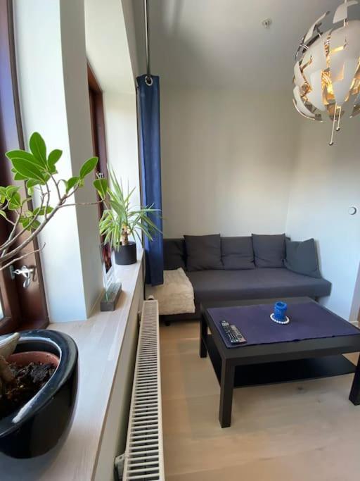 Moderne Leilighet Midt I Sentrum Av Fredrikstad Exteriér fotografie
